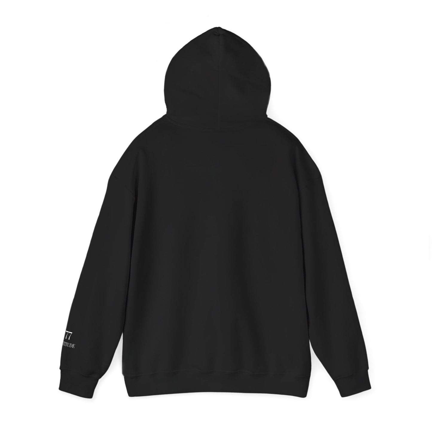 The Energy Code 777 Hoodie (Special Sleeve Edition)