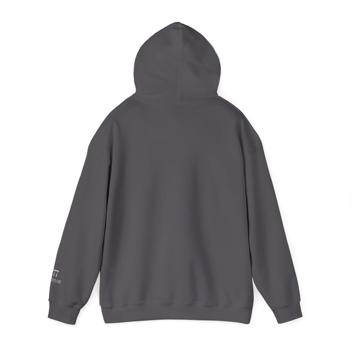 The Energy Code 777 Hoodie (Special Sleeve Edition)